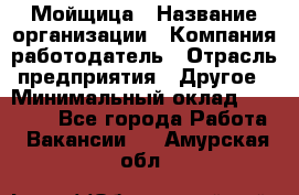 Мойщица › Название организации ­ Компания-работодатель › Отрасль предприятия ­ Другое › Минимальный оклад ­ 17 000 - Все города Работа » Вакансии   . Амурская обл.